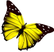 C:\Users\User\Desktop\kisspng-beautiful-butterfly-butterfly-5ad6a01c0bfd58.5564085915240151320491.jpg